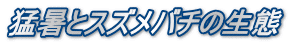 ҏƃXYo`̐